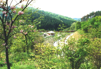 f0085369_13334141.jpg