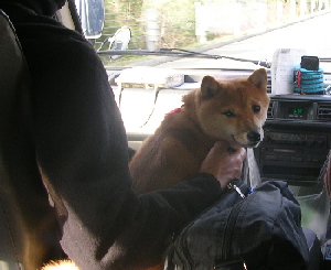 f0004309_22135743.jpg