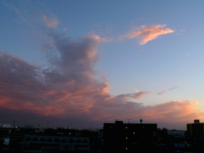 e0066210_204640.jpg