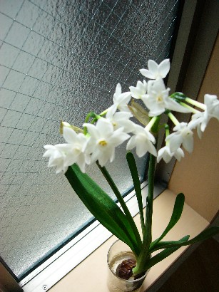 f0088839_1313082.jpg
