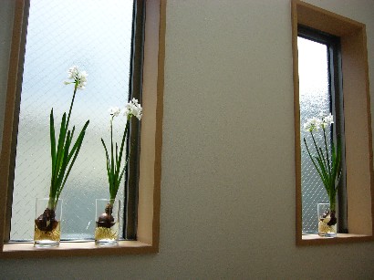 f0088839_138222.jpg