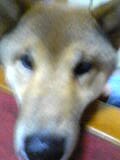 d0047440_2261877.jpg