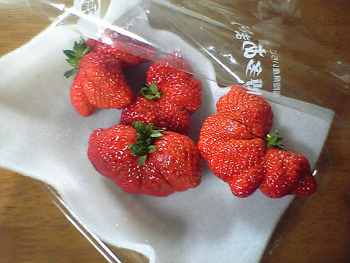 e0071440_23315681.jpg