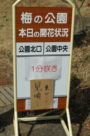 e0095142_3384859.jpg
