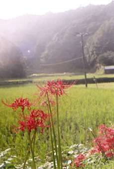 d0002843_3224454.jpg