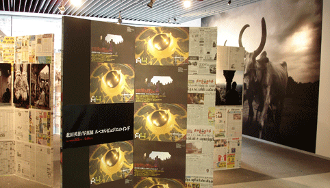 c0042548_014081.gif