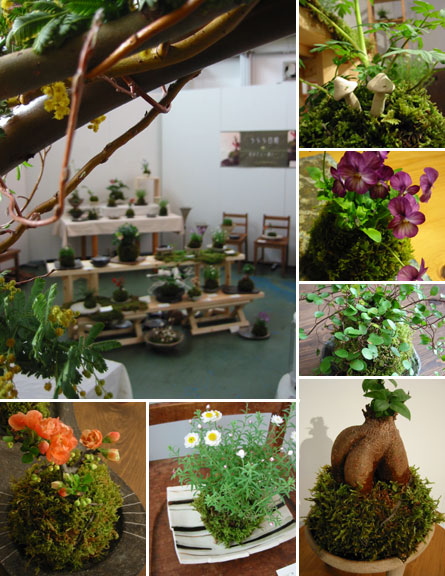【うらら日和 苔まきと・・・器と・・・】展、人気です!_a0017350_10483550.jpg