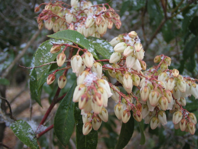 f0085369_18125767.jpg
