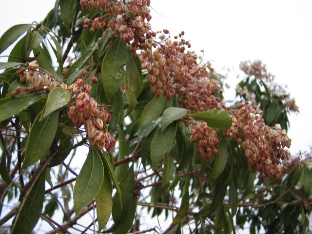 f0085369_18132043.jpg