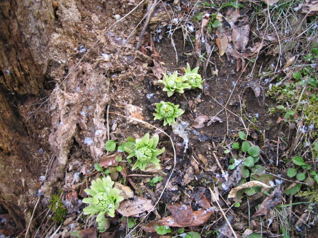 f0085369_18191012.jpg