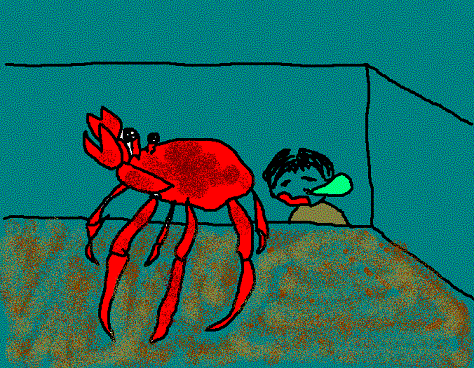 d0034082_2435799.gif