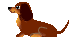e0066883_10471282.gif