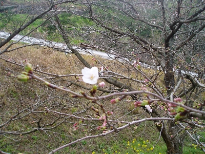f0003283_13373442.jpg