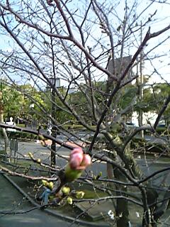 c0037701_21253525.jpg