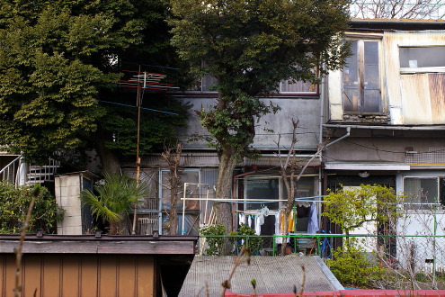 田端・・日枝神社とその周辺の風景_b0053019_030953.jpg