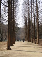 韓国旅行記 3日目その1 春川・南怡島_f0019247_19471882.jpg