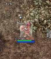 c0058955_18372019.gif
