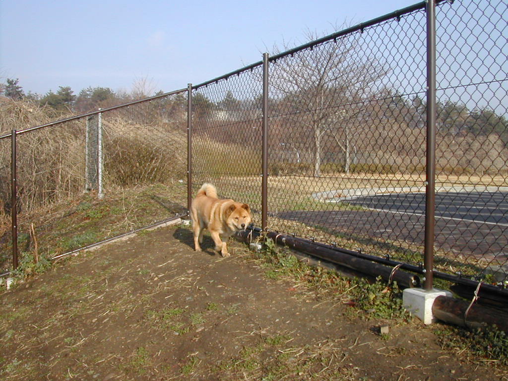 f0081100_13113.jpg