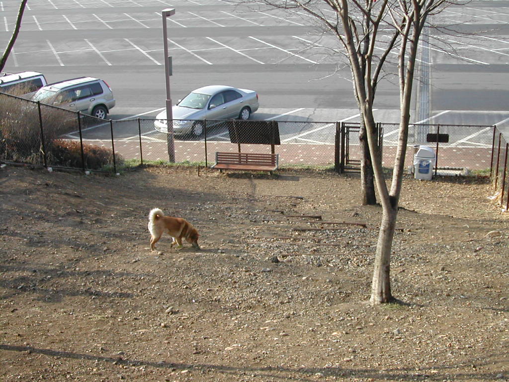 f0081100_14115.jpg