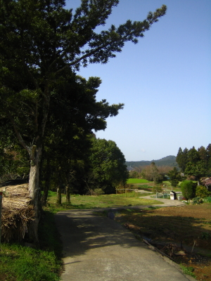 やった世界一！_d0047811_23491126.jpg