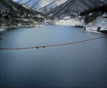 d0013816_0205359.jpg