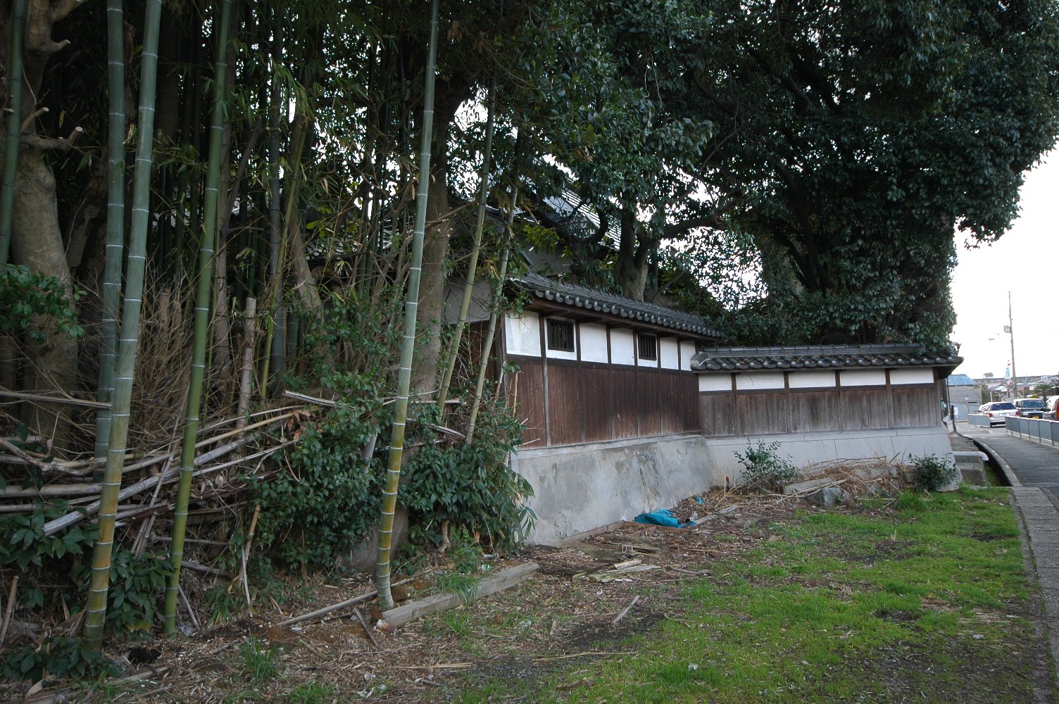 雨上がりの散歩_b0069128_91810.jpg