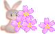 c0042941_13164157.gif