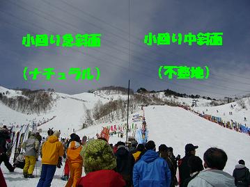3月18日（土）全日本スキー技術選手権大会（準決勝）_f0065941_8545576.jpg