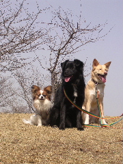 c0065643_22372125.jpg