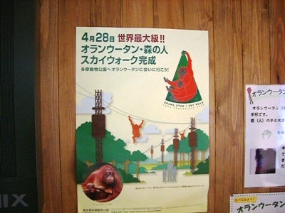 広い広い!多摩動物公園~オランウータン~_c0060651_02205.jpg