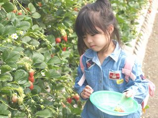 c0001769_2124441.jpg