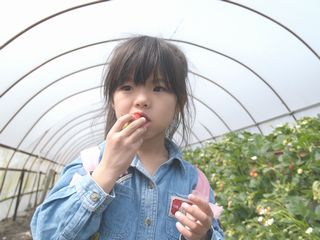 c0001769_21271317.jpg