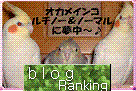e0027078_12584658.gif