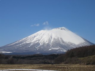 b0044401_1859.jpg