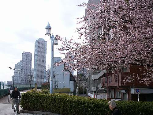 a0008202_0314766.jpg