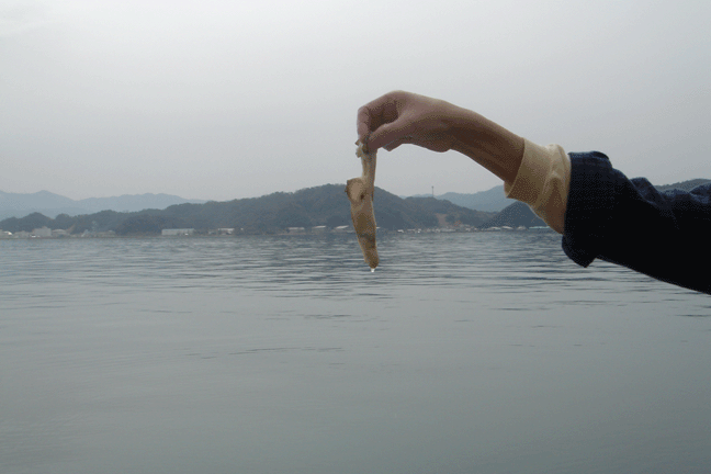 e0063003_16465485.gif