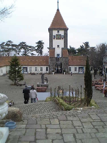 c0003217_027462.jpg
