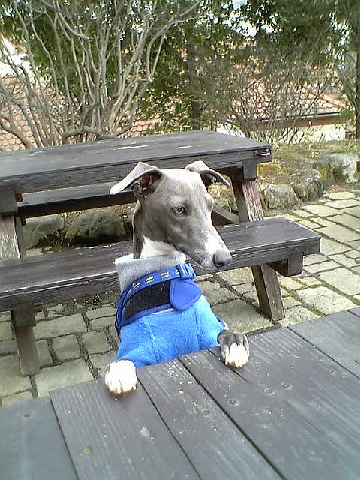 c0003217_02974.jpg