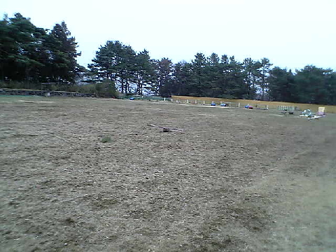 c0003217_033475.jpg