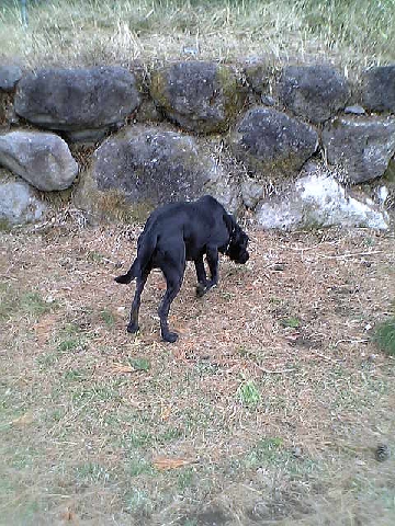 c0003217_0344771.jpg