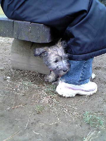 c0003217_0351162.jpg