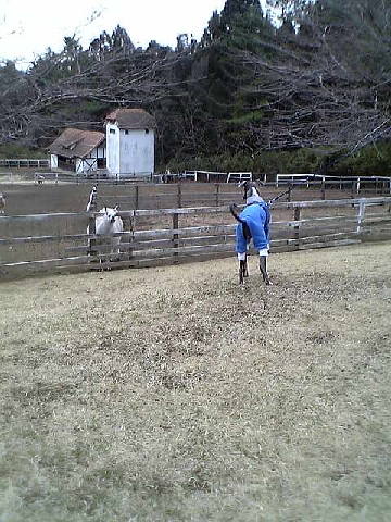 c0003217_0411979.jpg