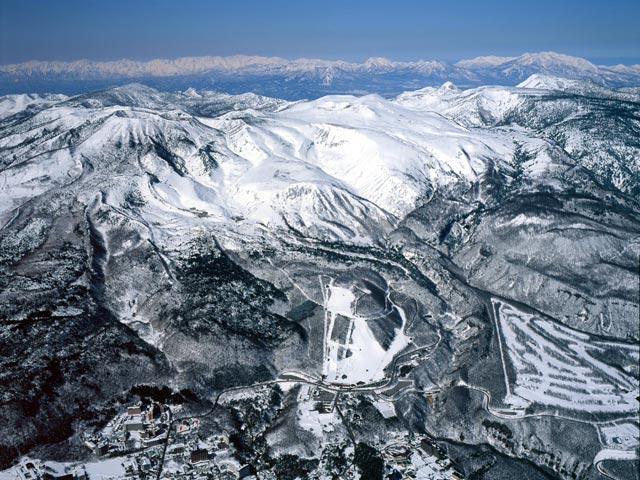 開花宣言_a0057828_1005347.jpg
