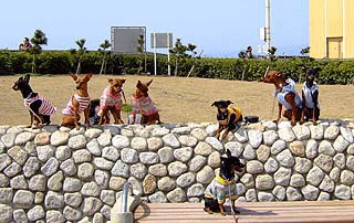 c0012571_12243428.gif