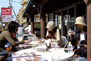 c0012571_12255241.gif