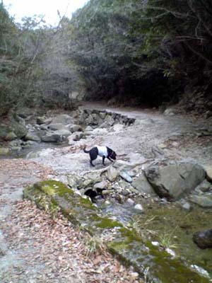 d0023103_1654712.jpg