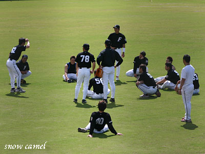 【Fs写真館】＊2/20　沖縄キャンプ　見学最終日　モノマネ大会編＊_b0004104_2291199.jpg