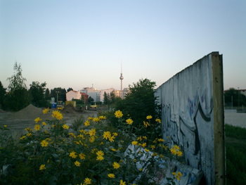 e0038811_75051.jpg