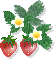 a0064213_2125421.gif