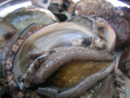 海の恵み♪_e0025817_2053542.jpg